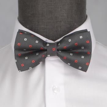 Бабочка мужская 0201