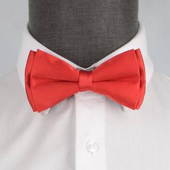 Бабочка мужская 0016-1