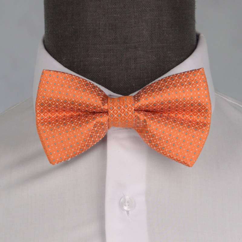 Бабочка мужская 0199