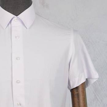 Рубашка мужская Genus Glad 179WGT к/р