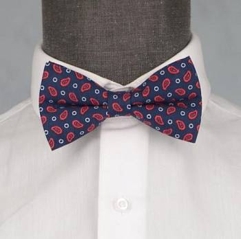 Бабочка мужская 0137